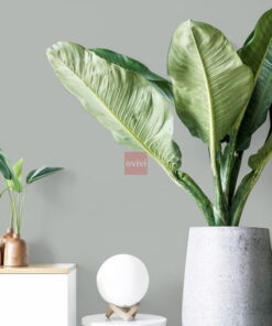 Giấy dán tường Hàn Quốc 8619-7